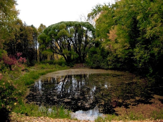 Барнаул. Дендрарий